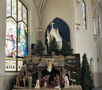 Photo Courtesy of Steven Walsh