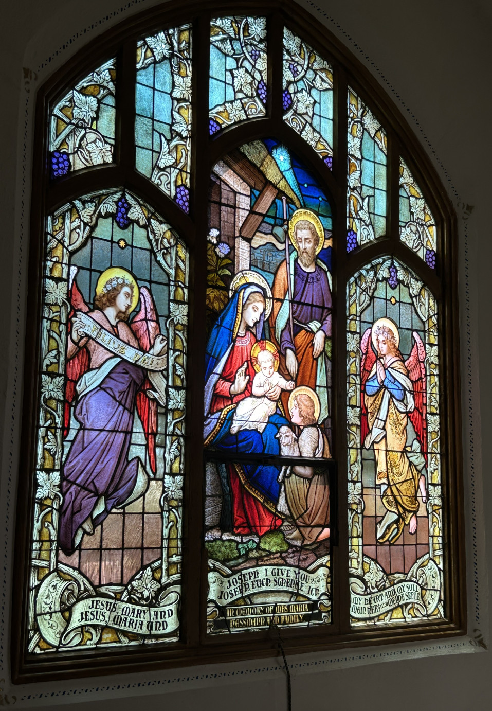 Photo Courtesy of Steven Walsh