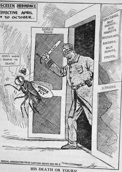 Cartoon advocating for the swatting of flies, 1914. (Kansas Historical Society)