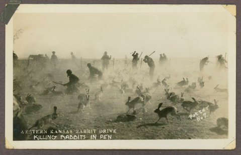 Bigsby would later go on record to say, “Some of them laughed at me several years ago when I said the dust storms were due to killing off the rabbits, the rabbits keeping the ground tamped down. We had a big rabbit crop last summer and you will notice that we haven't had any bad dust storms this spring. So I'm vindicated.”&nbsp;[2]&nbsp;Photo from c. 1934. (Kansas Historical Society)